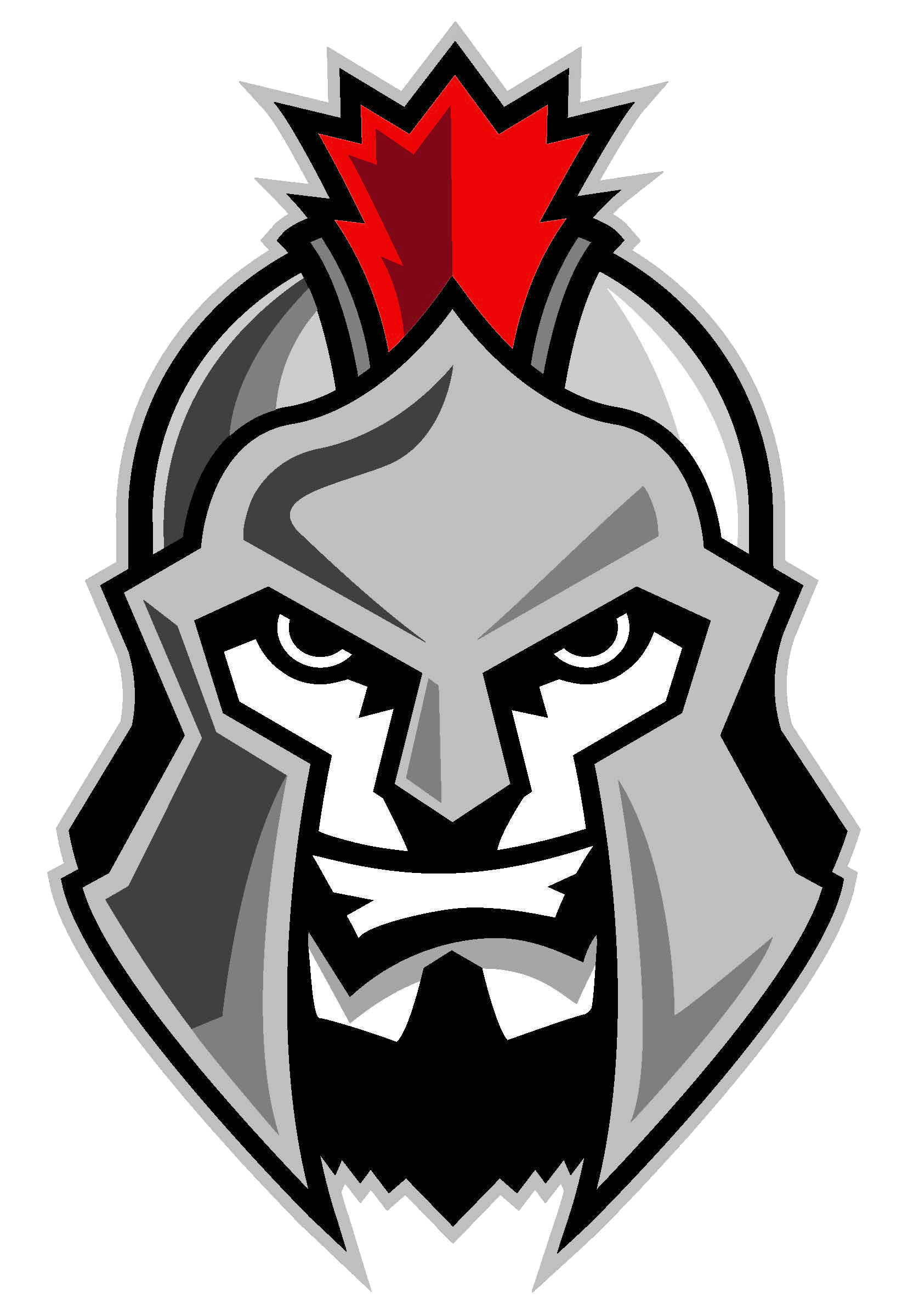 Woodstock Warriors Jr A Hockey Club